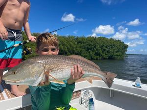 Red Drum Best Area Fort Myers Florida 2022
